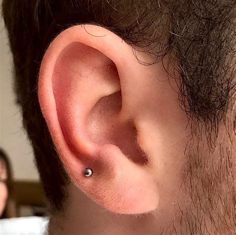 UPPER LOBE PIERCING SERVICES | LOOKTATTOO