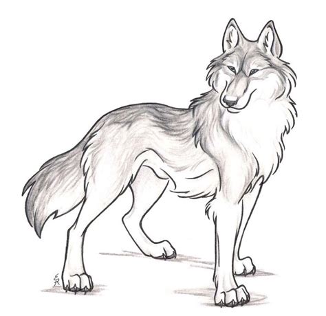 180 best Wolf drawings images on Pinterest | Drawing tutorials, Wolves ...