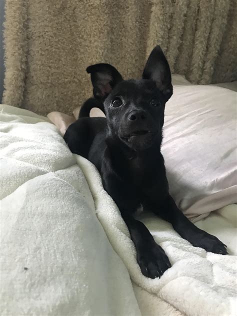 fcknpeach (u/fcknpeach) - Reddit