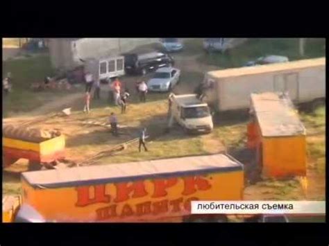 В Братске цирковой медведь напал на дрессировщиков - YouTube