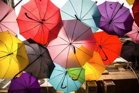 assorted color umbrellas  stock photo