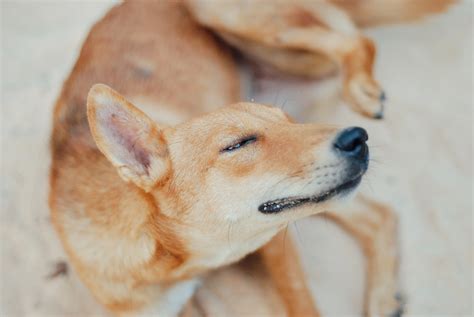 Don’t Give Up on Allergy Patients