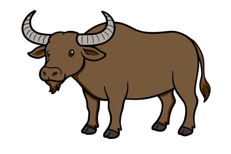 ilustracion de carabao  png