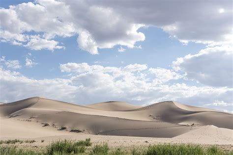 Discover True Mongolia Tour – Mongolia Tours