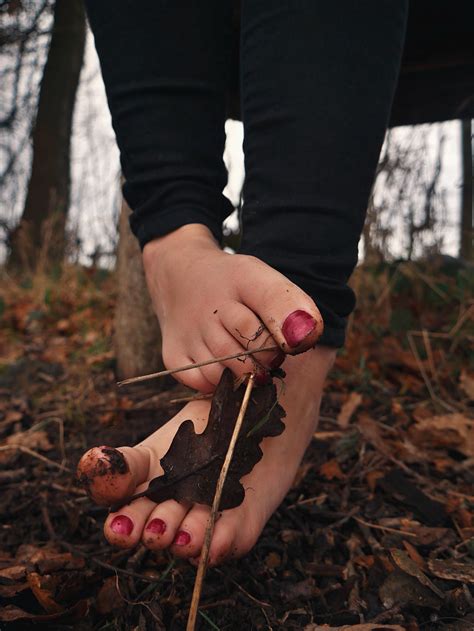 7897 by leafysfeet on DeviantArt