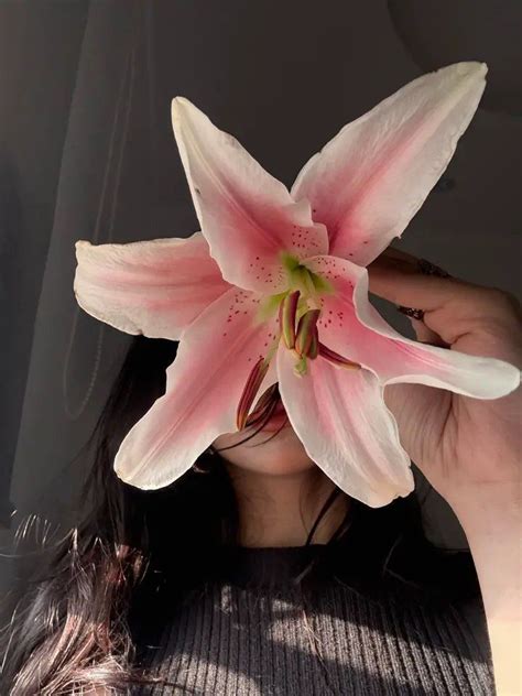 Poses for women with lily | Poses with lily flower, Lily pfp flower