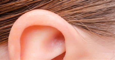 11 Amazing Facts About Human Ear