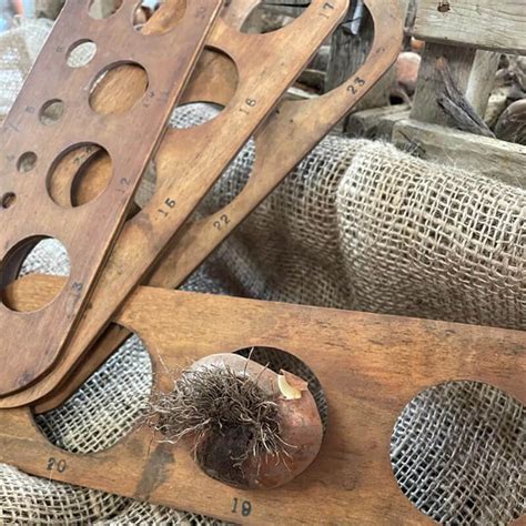 bulb sizes explained gee tee bulbs uk