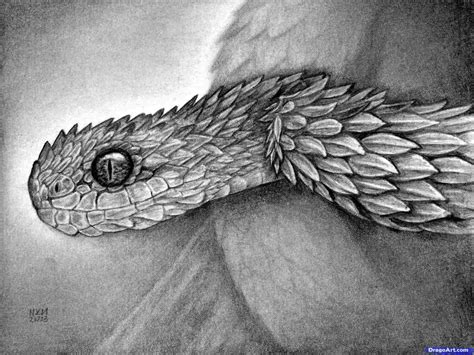 Realistic Snake Drawing at PaintingValley.com | Explore collection of ...