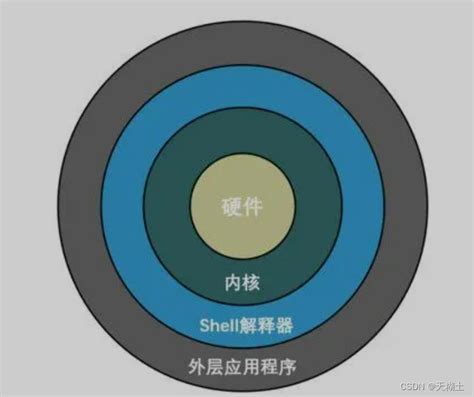 shell shellshell csdn