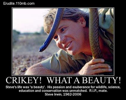 Steve Irwin Funny Quotes. QuotesGram