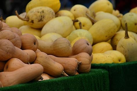 winter squash recipe roundup upstate ramblings