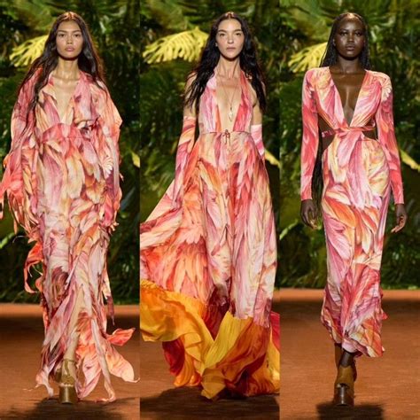 Roberto cavalli ss 2024 – Artofit