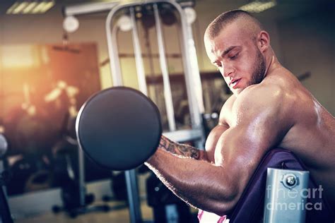 muscular man working    gym photograph  michal bednarek pixels