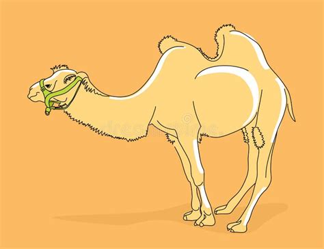 иллюстрация верблюда иллюстрация вектора. иллюстрации насчитывающей ...