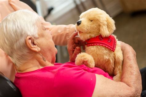 Joy For All Companion Robotic Pets Pet Therapy For, 52% OFF