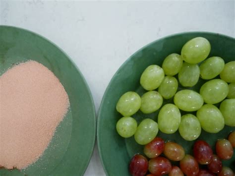 Candied Grapes Made Two Ways For Fun on Your Plate - Snow Farm Vineyard ...