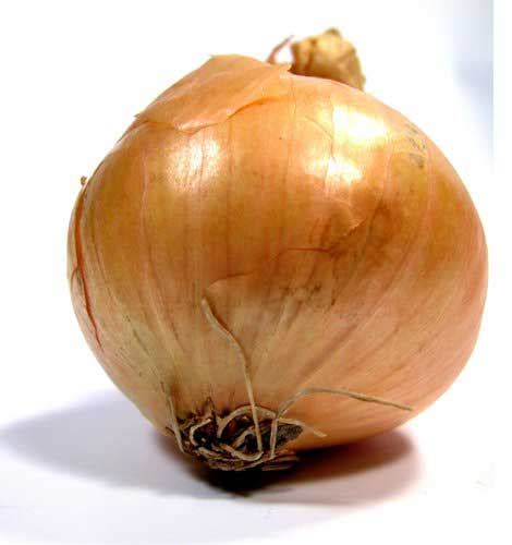 Antjie, die Rooibruin hen: The Onion...