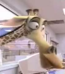 Voice Of Melman Madagascar : Madagascar Voices - 26 Credits | Behind The Voice Actors | Zachary ...