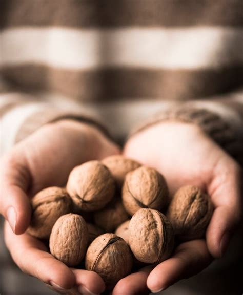 produsele noastre maestro nut