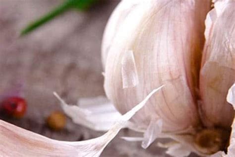 common cold nutritional matters