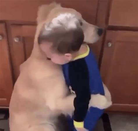 Toddler Hugs Dog, Dog Hugs Right Back | Whisker Therapy