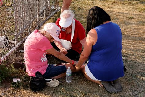 Supporters react to the latest Carmela DeAngelis public statement 15