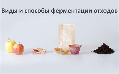 Ферментация отходов - Диптера