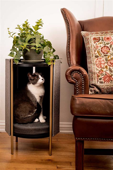 Modern Cat Furniture You and Your Pet Will Love | Design Milk