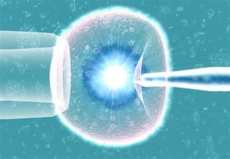 Totul despre fertilizarea in vitro - Clinica I Med va ofera detalii ...