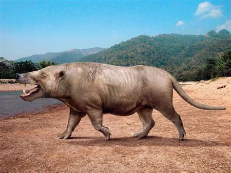 Эндрюса́рх (Andrewsarchus mongoliensis) – крупнейших хищник из ...