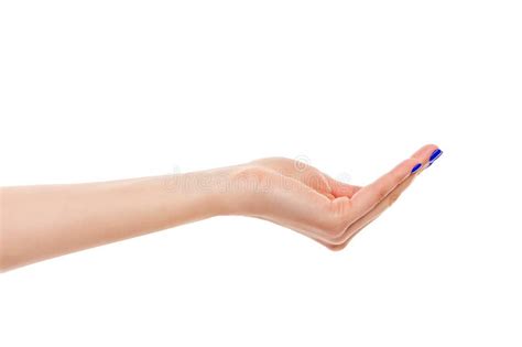 beautiful female hand  stock image image  background woman