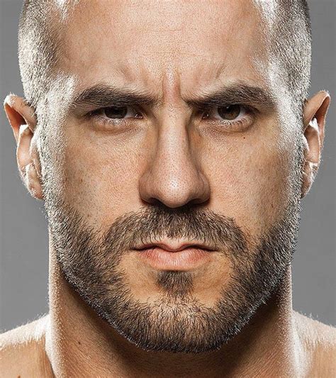 wwe magazine presents faces  wwe