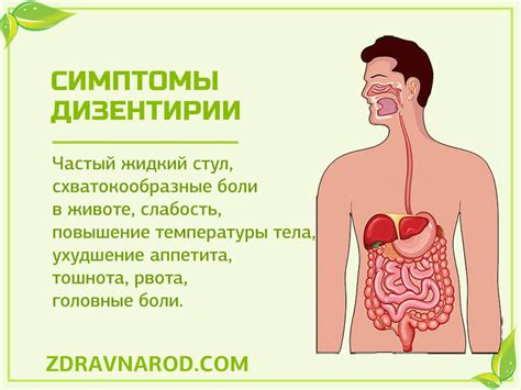 Дизентерия. Хотите вылечить дизентерию, узнайте о заболевании