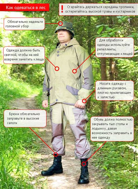 Костюм-“антиклещ” – лучшее средство от укусов клещей и кровососущих ...