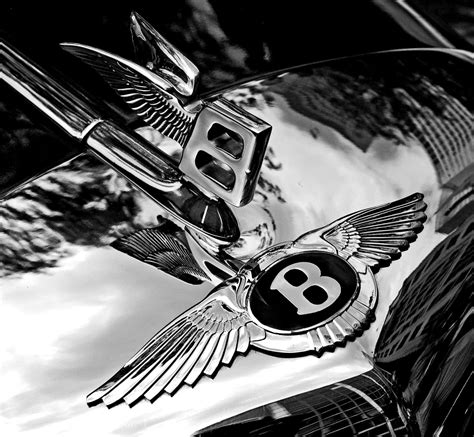 Download Luxury at Its Finest: The Bentley Continental | Wallpapers.com