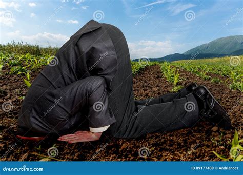 Businessman Burying His Head in the Ground Stock Image - Image of ...