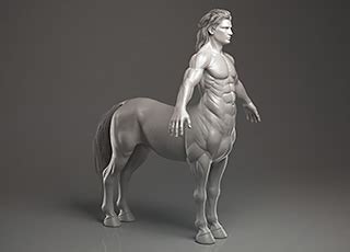 CREATURE CATALOG | Seresdelle