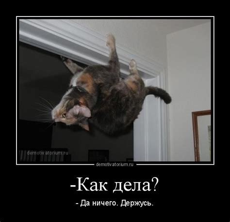Картинки "Как дела?" (63 фото)
