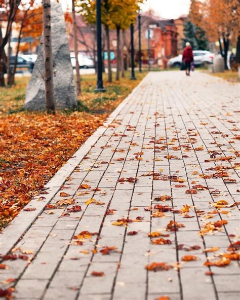 sinoptiki rasskazali kakaia pogoda zdet ekaterinburg novosti