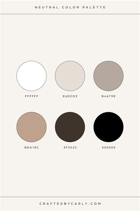 neutral tan color palette inspiration artofit