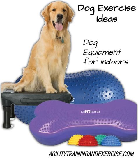 Dog Exercise is so important. FitPaws popular dog gym products with ...