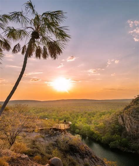 Crocodiles in the Northern Territory