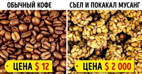 Самые дорогие продукты питания в мире - фото и цена