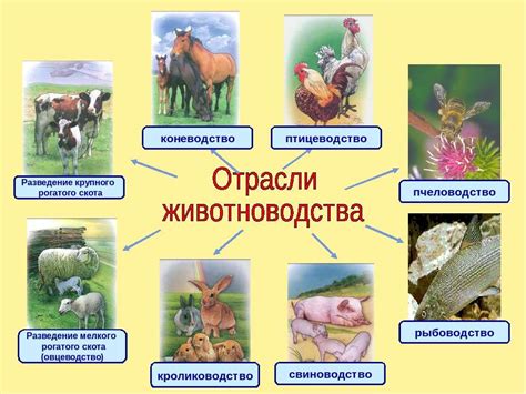 Презентация "Животноводство 3 класс" - скачать бесплатно