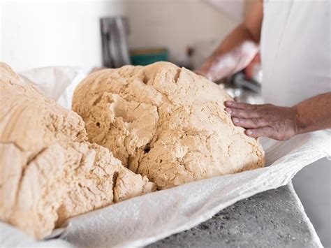 tortillas de maiz