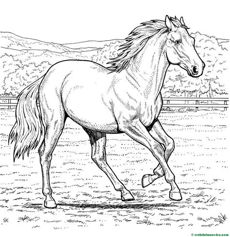Resultado de imagen para PAISAJES PARA COLOREAR | Horse coloring pages ...