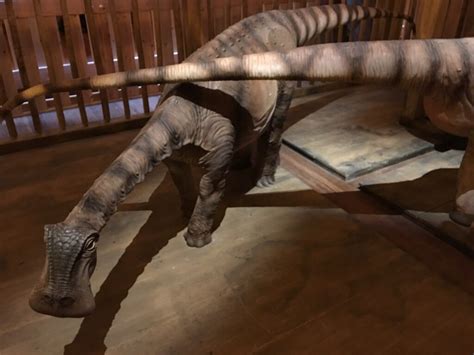 Read This Before Going To The Ark Encounter - My Review | World Events ...