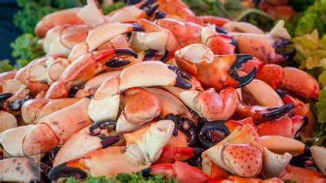 How to Prepare Stone Crab Claws: A Step-by-Step Guide