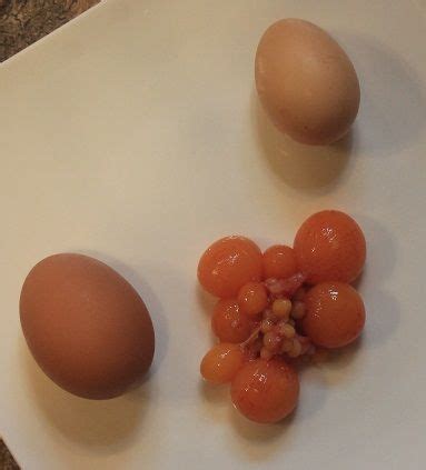 Unlaid Chicken Eggs: In Chicken Soup | Chicken eggs, Low sodium chicken ...